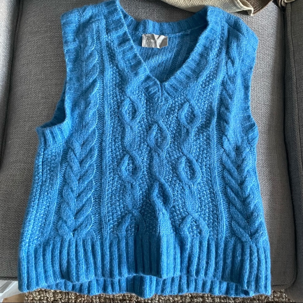 Everlane Robin’s Blue Lake Sweater Vest
